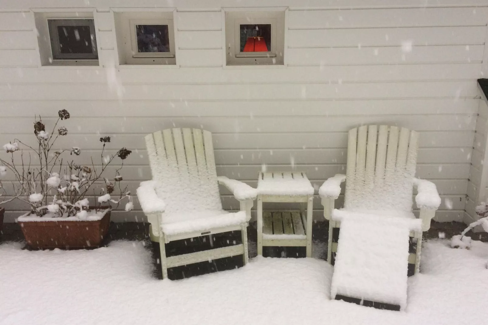 Het Beerenbos-Garden winter
