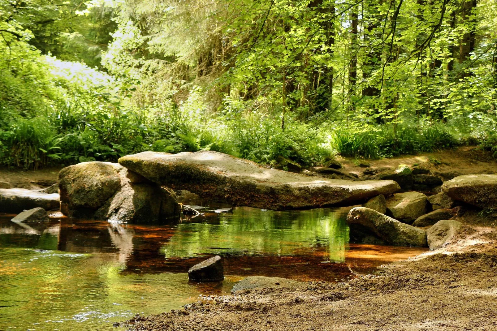 Arrée-Areas summer 5km