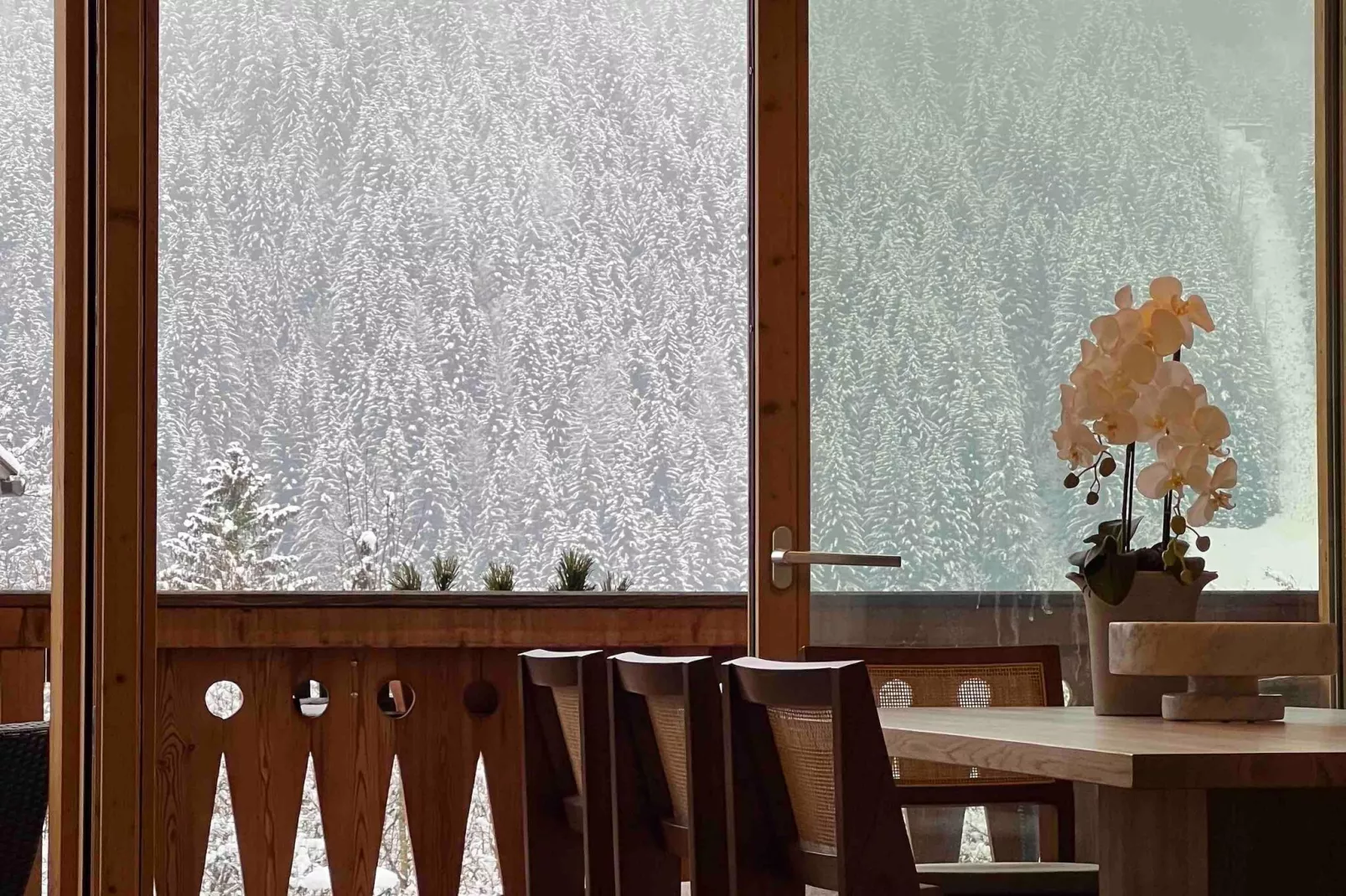 AlpenPura - Chalet Steinbock-View winter