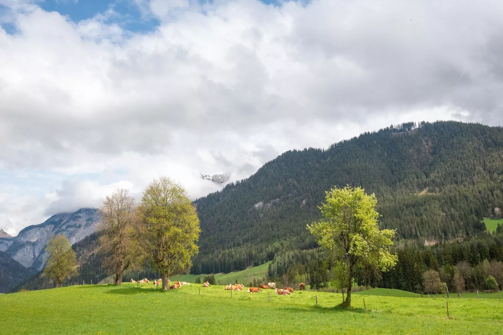 Ferienhaus-Areas summer 5km