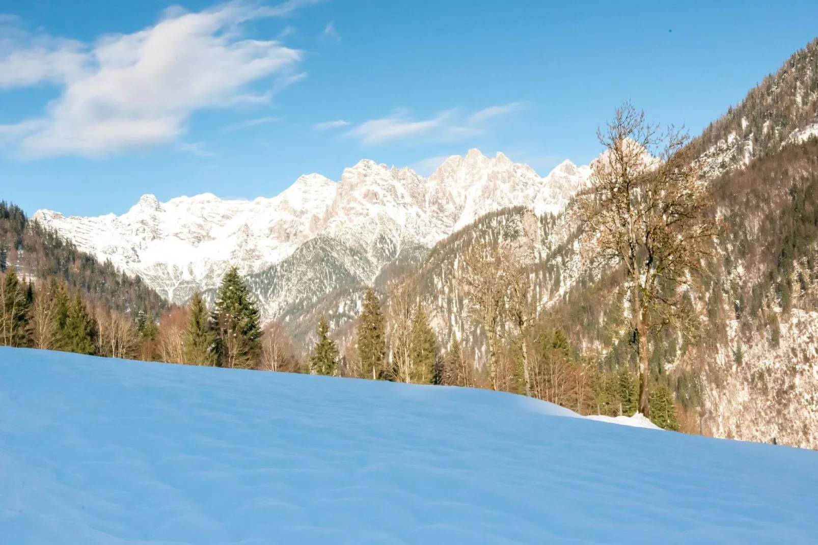 Bauernhaus Hochfilzen-Garden winter