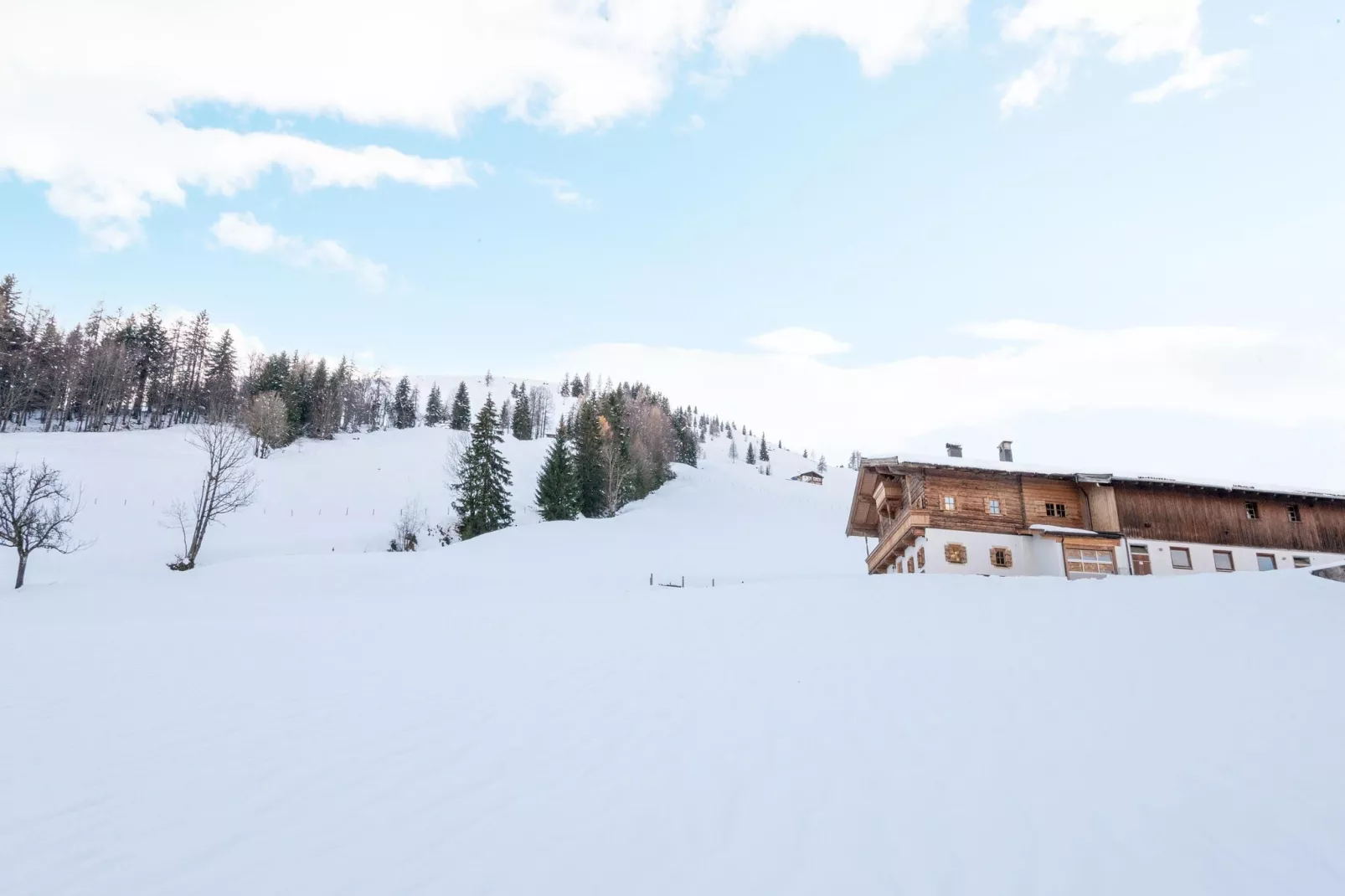 Bauernhaus Hochfilzen-Garden winter