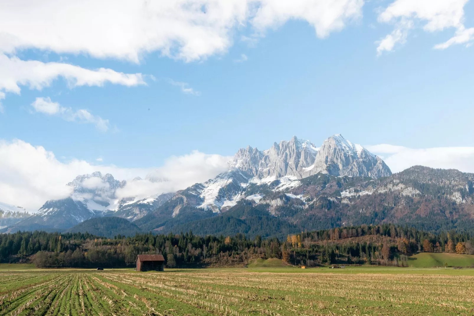 Bauernhaus Hochfilzen-Area winter 5km