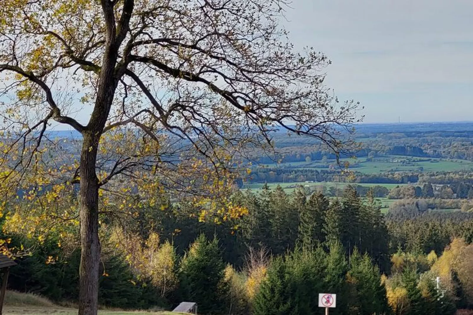 Ardennes Bleu 8 pers maximum-Aussicht Sommer