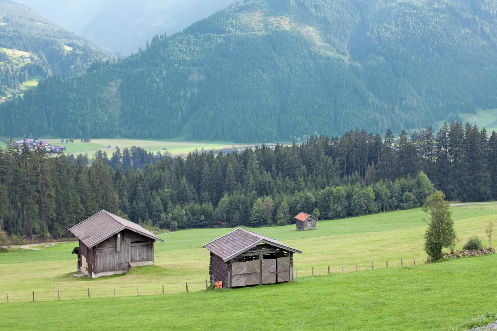 Entleitenhof xl-Aussicht Sommer