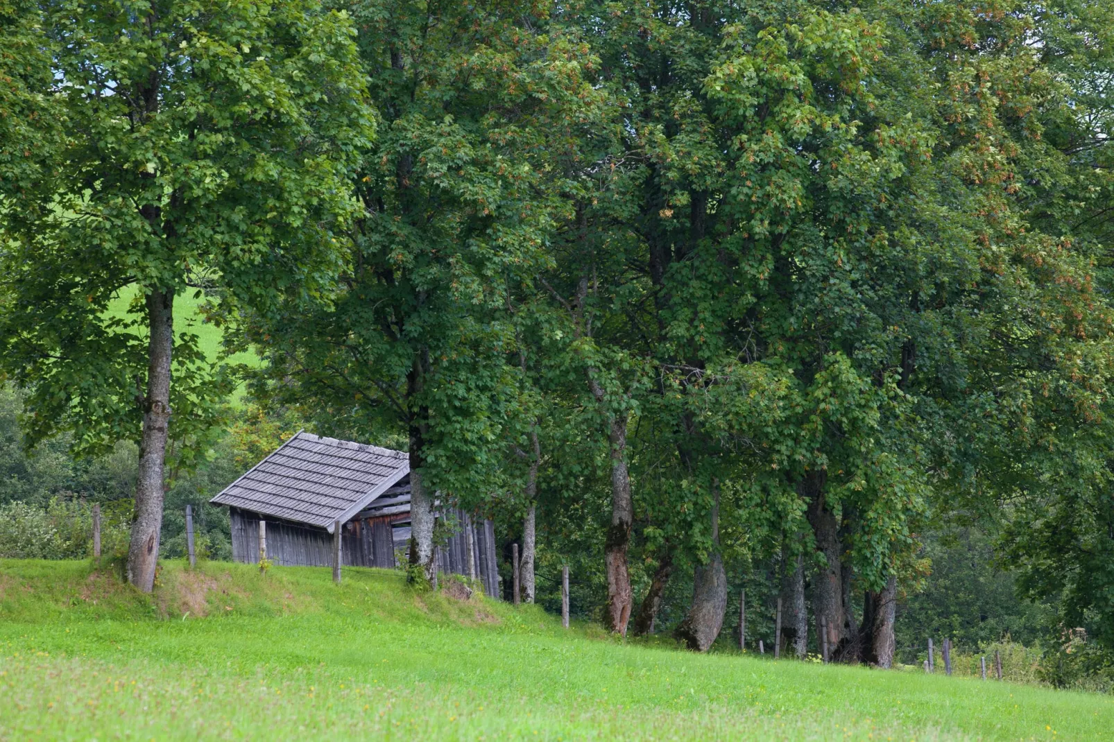 Entleitenhof xl-Aussicht Sommer