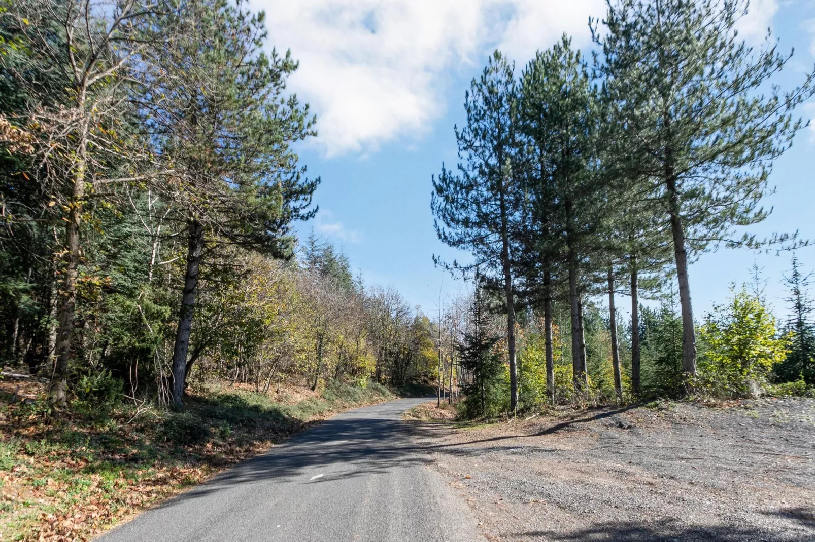 La Chataigne-Areas summer 5km