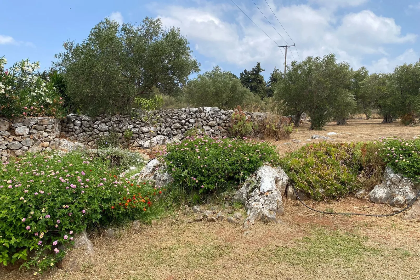 Villa Aloni-Jardin d'été