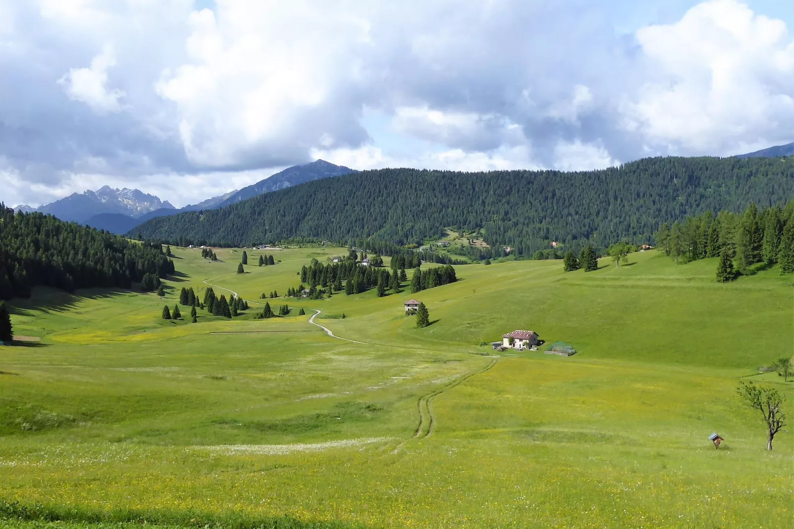 Baita Silana-Areas summer 5km