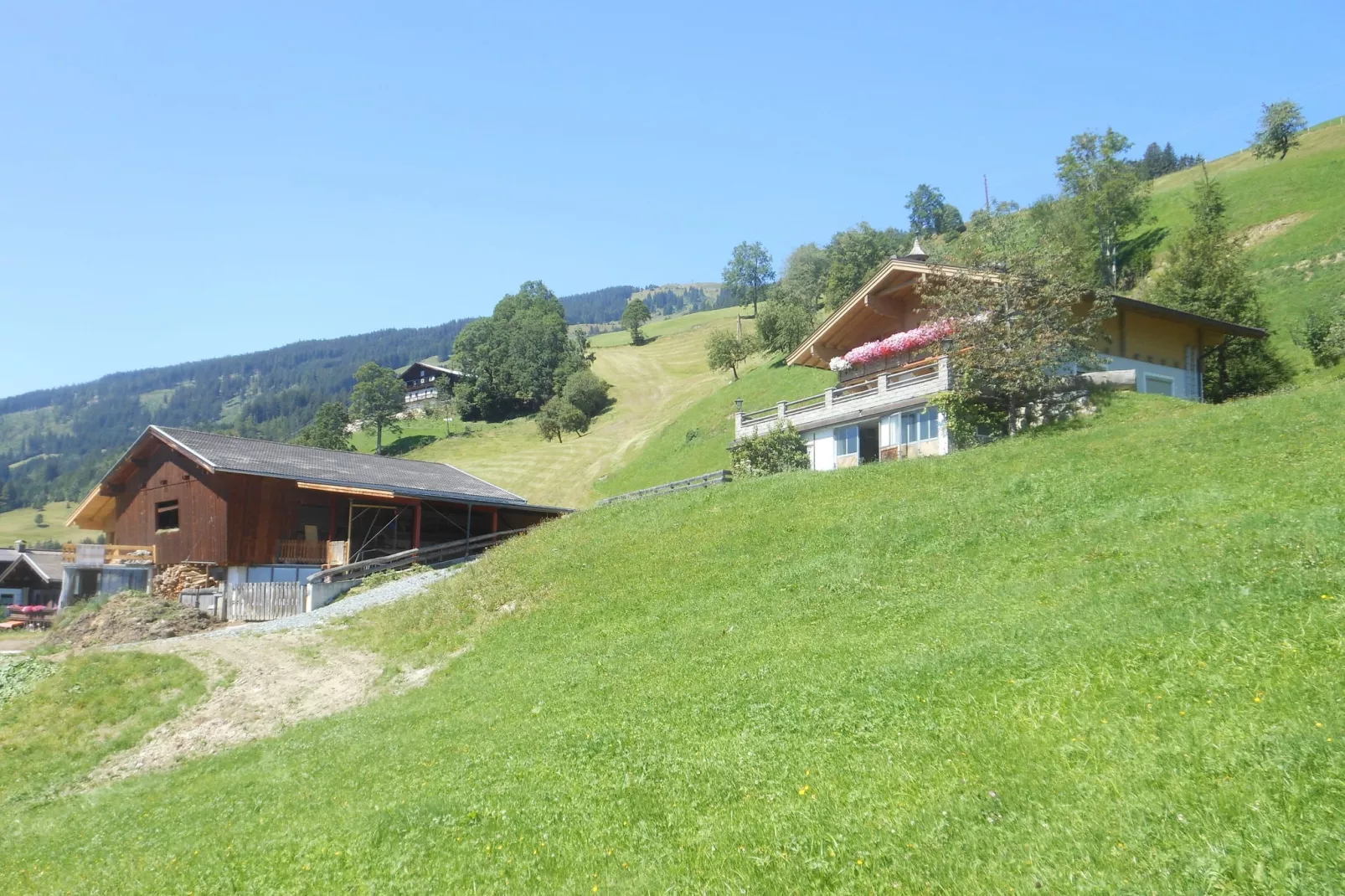 Entleitenhof xl-Außenbereich Sommer