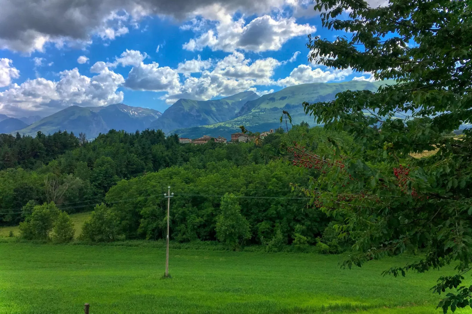 Villa Faggio 8-Gardens summer