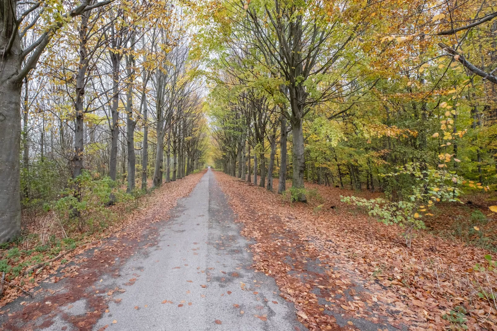 Villa Sunshine Harderwijk 234-Areas summer 5km