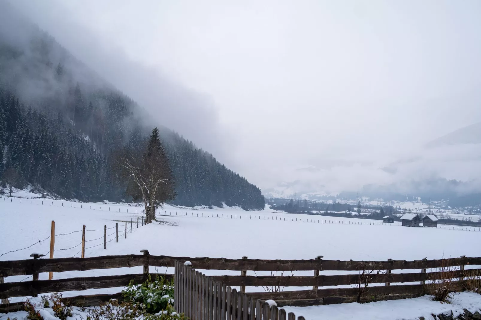 Apartment 1 /Hollersbach-Vue d'hiver