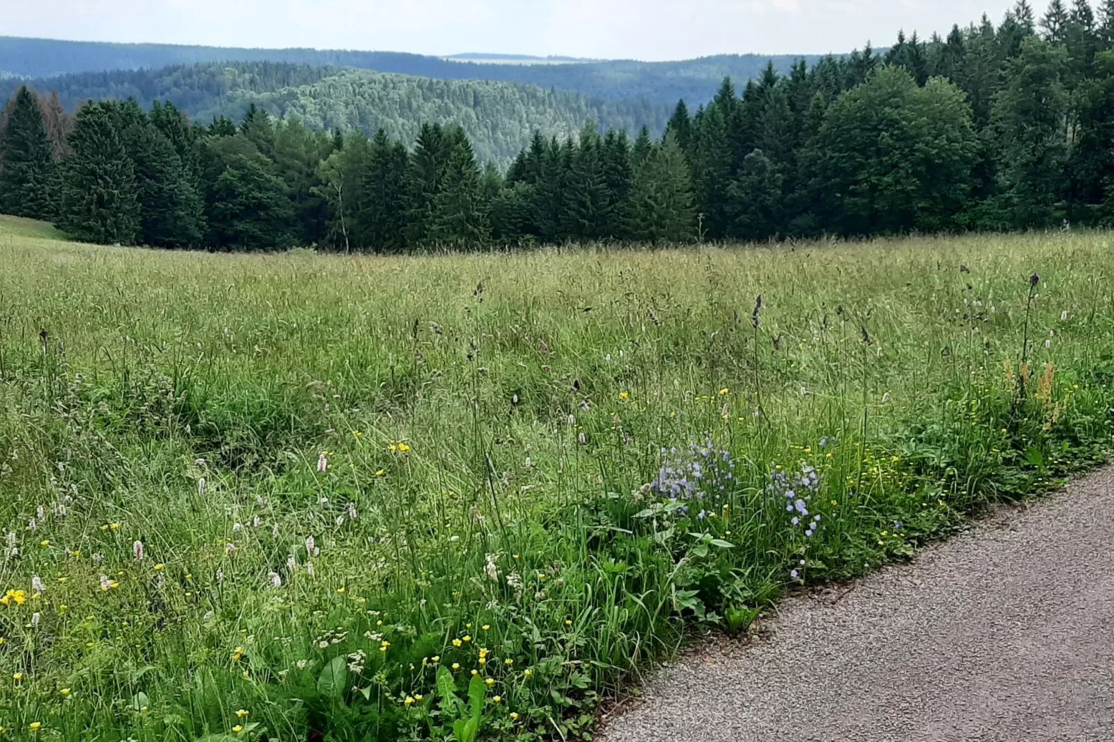 Gasse-Areas summer 5km