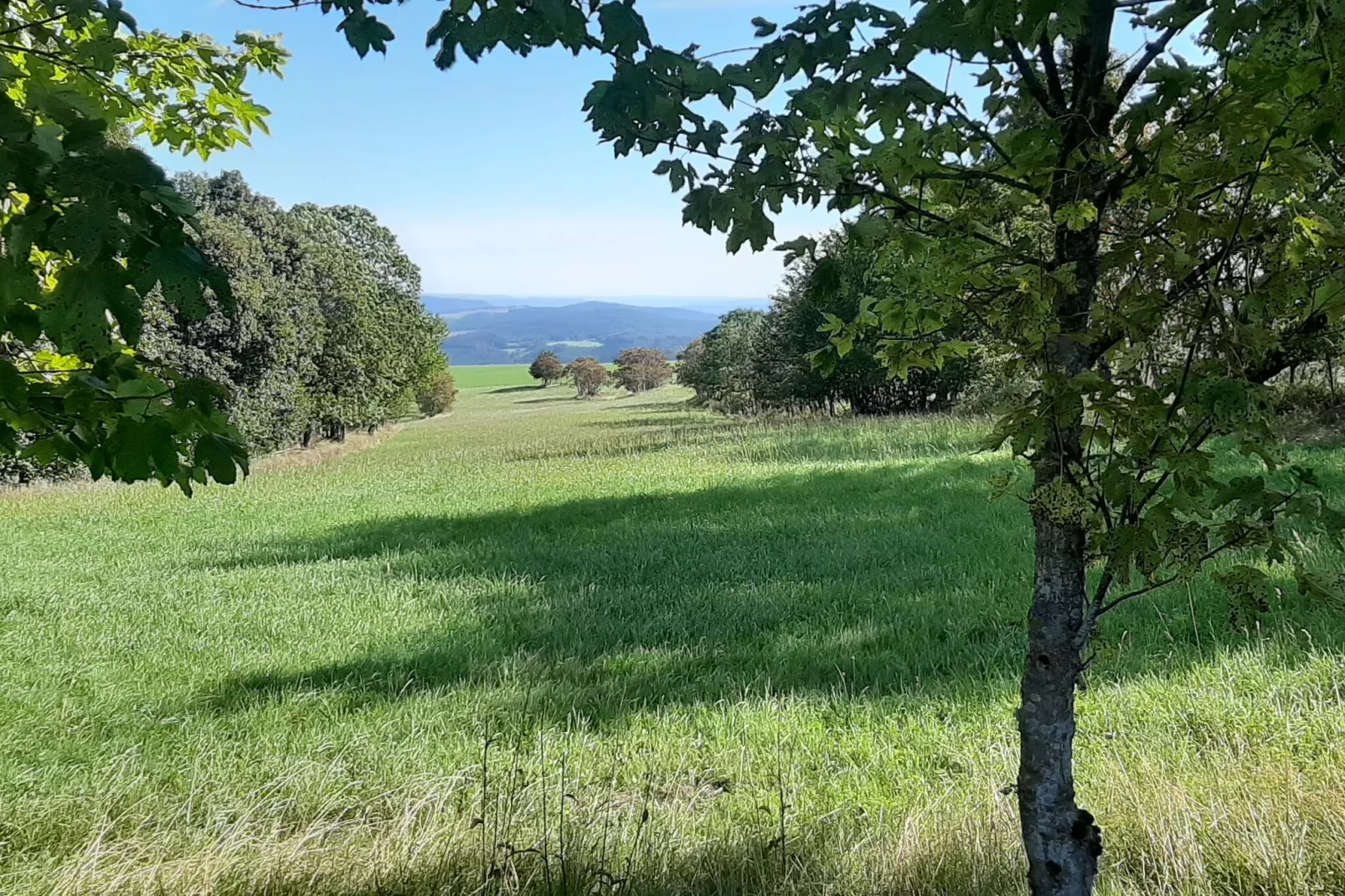 Gasse-Areas summer 20km