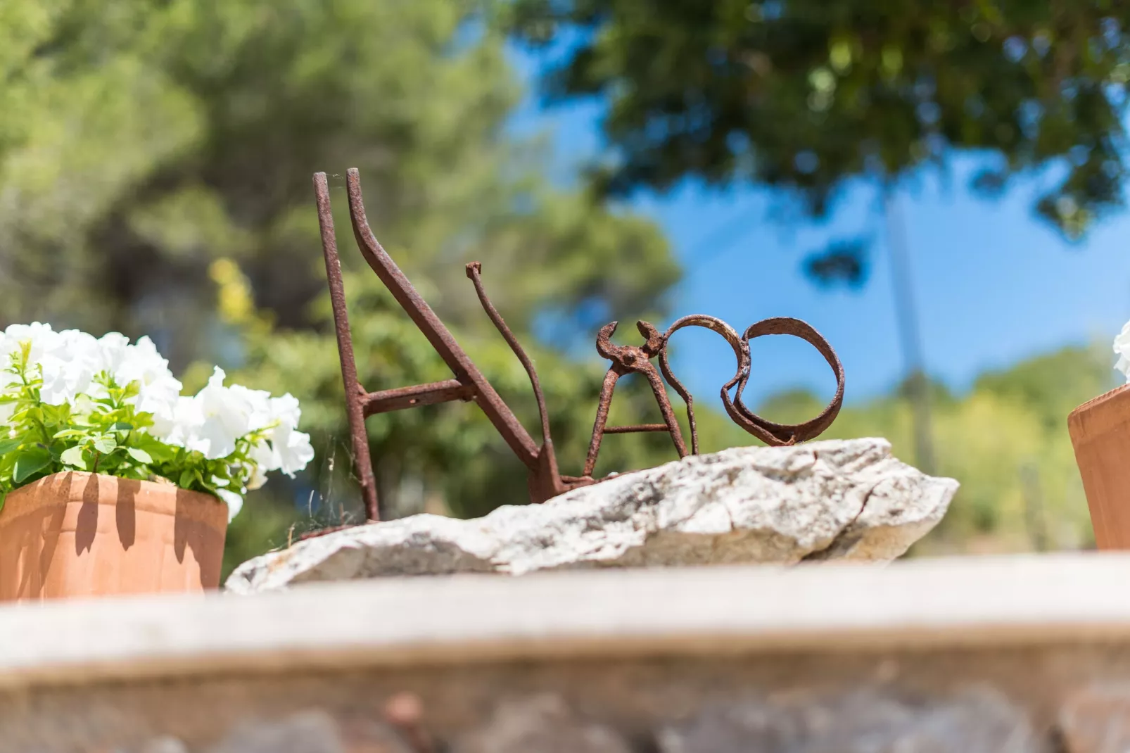 Es Pinar-Exterior summer