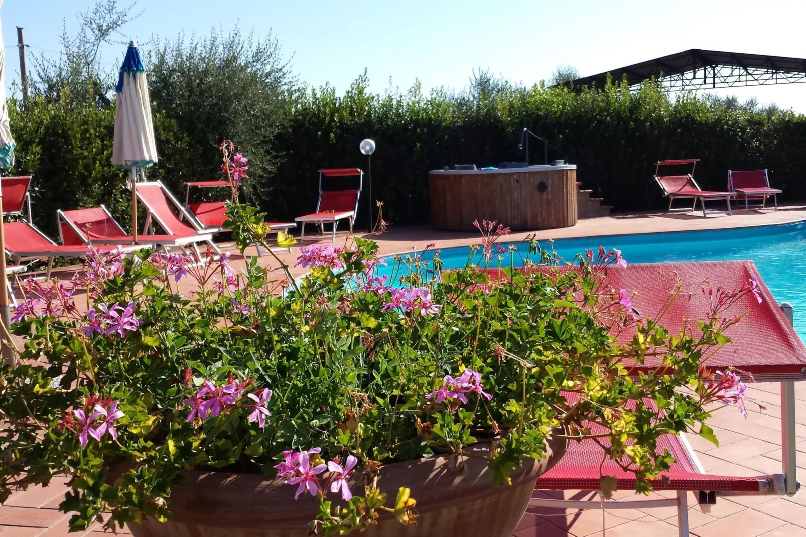 Casa Vacanze Podere Settefrati - Montaione-Atmosphere
