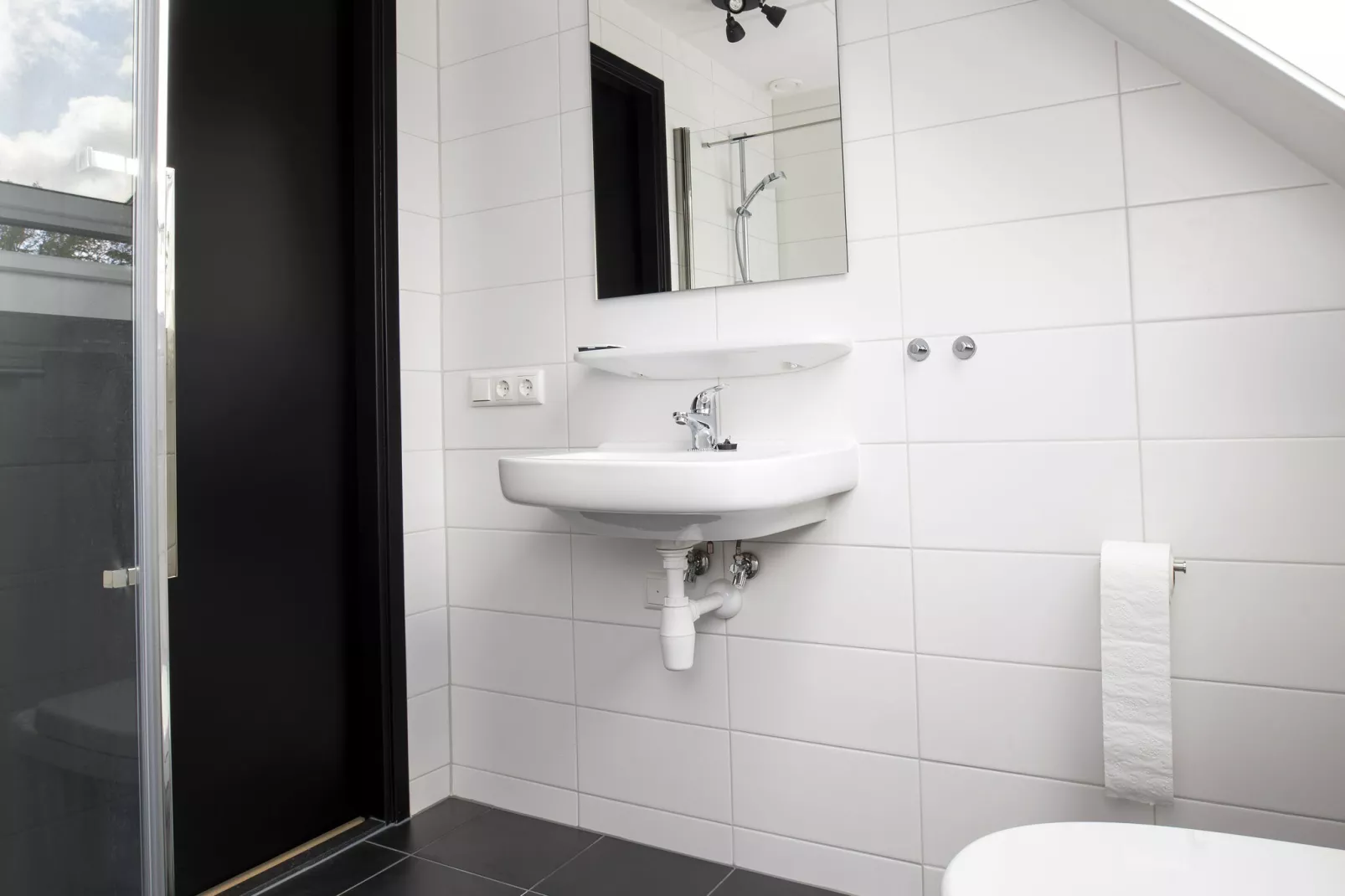 Landgoed Eysinga State 6-Bathroom