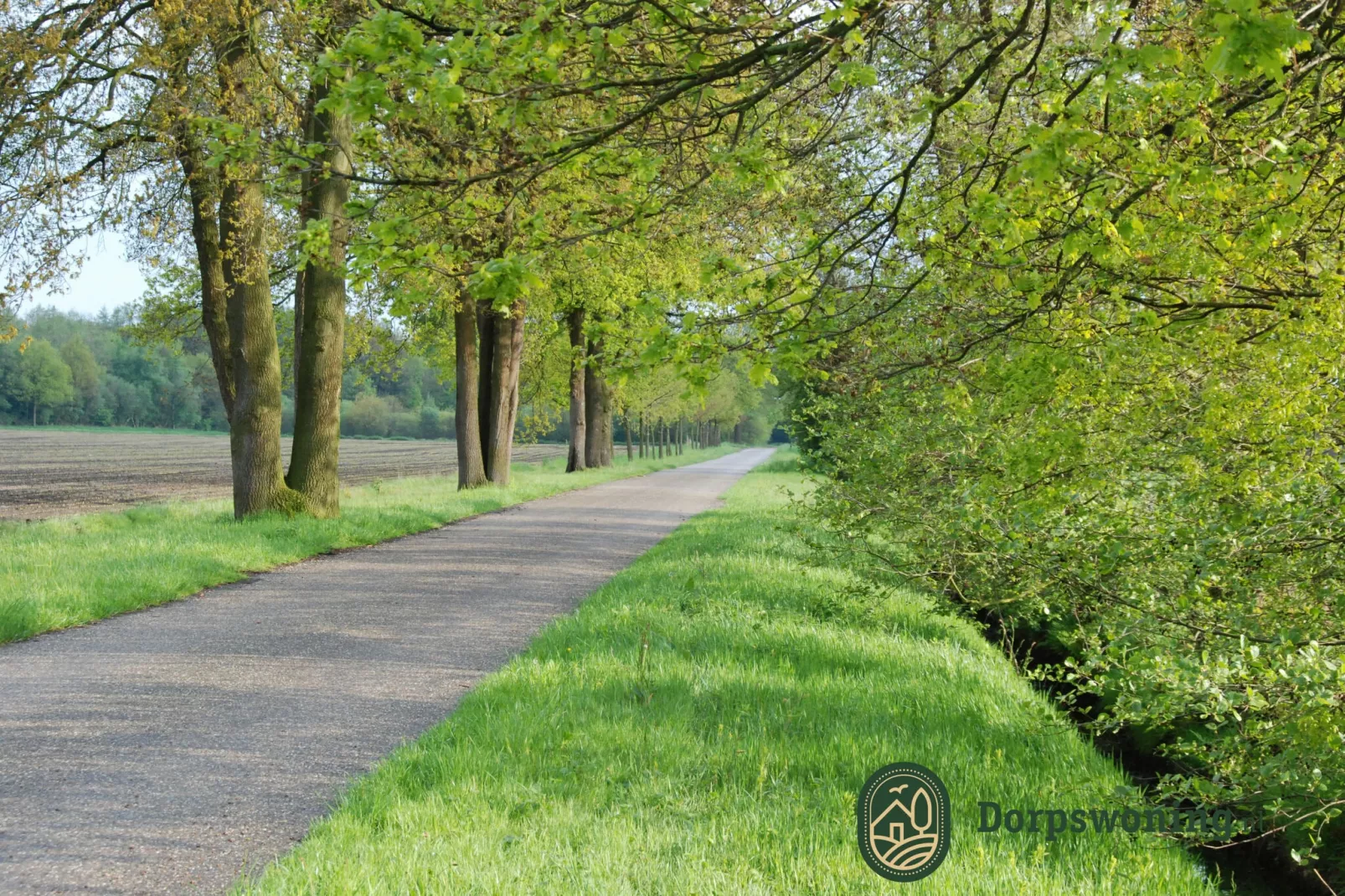 Dorpswoning De Plek-Areas summer 1km