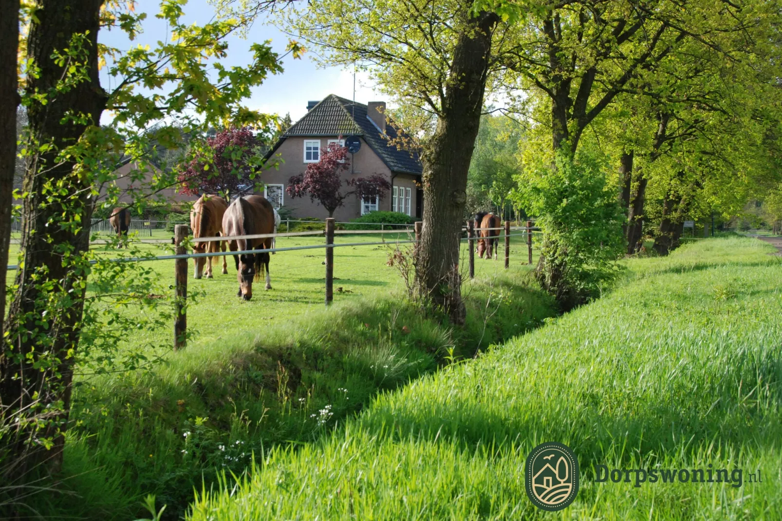 Dorpswoning De Plek-Areas summer 1km