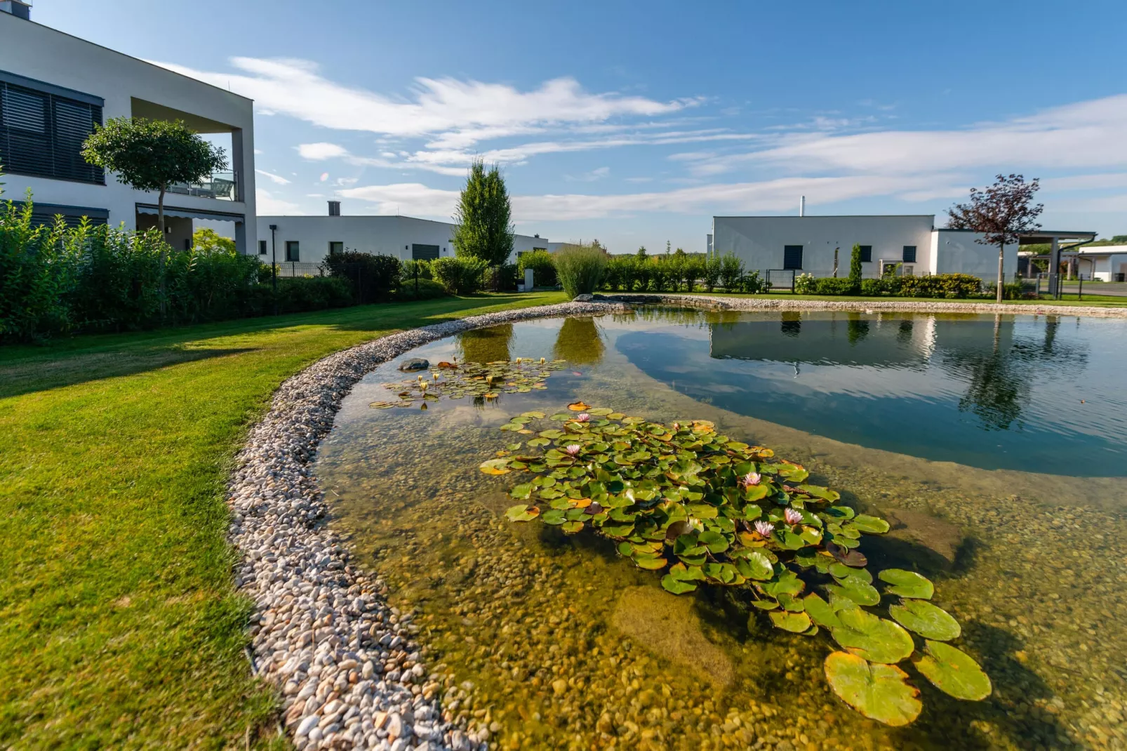 Pannonia M03-Pool