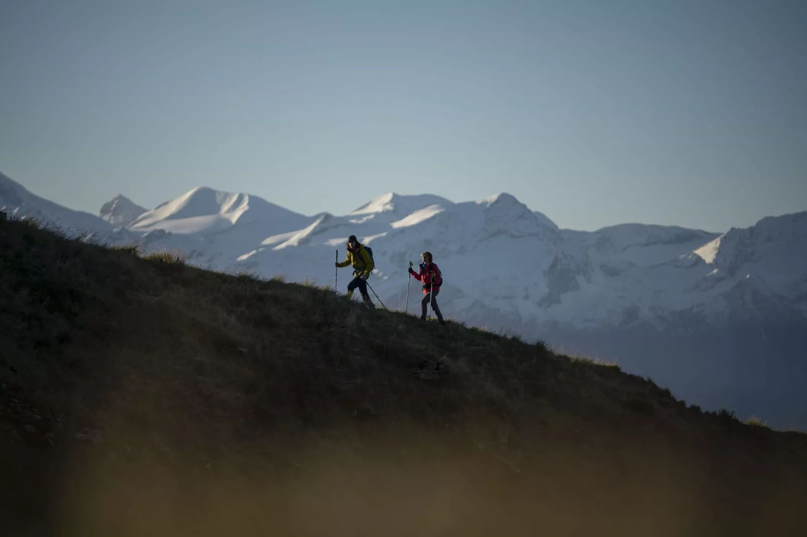Saalbach Suite 3-Areas summer 5km