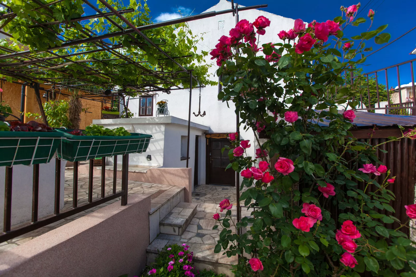 Holiday Home Borna-Gardens summer