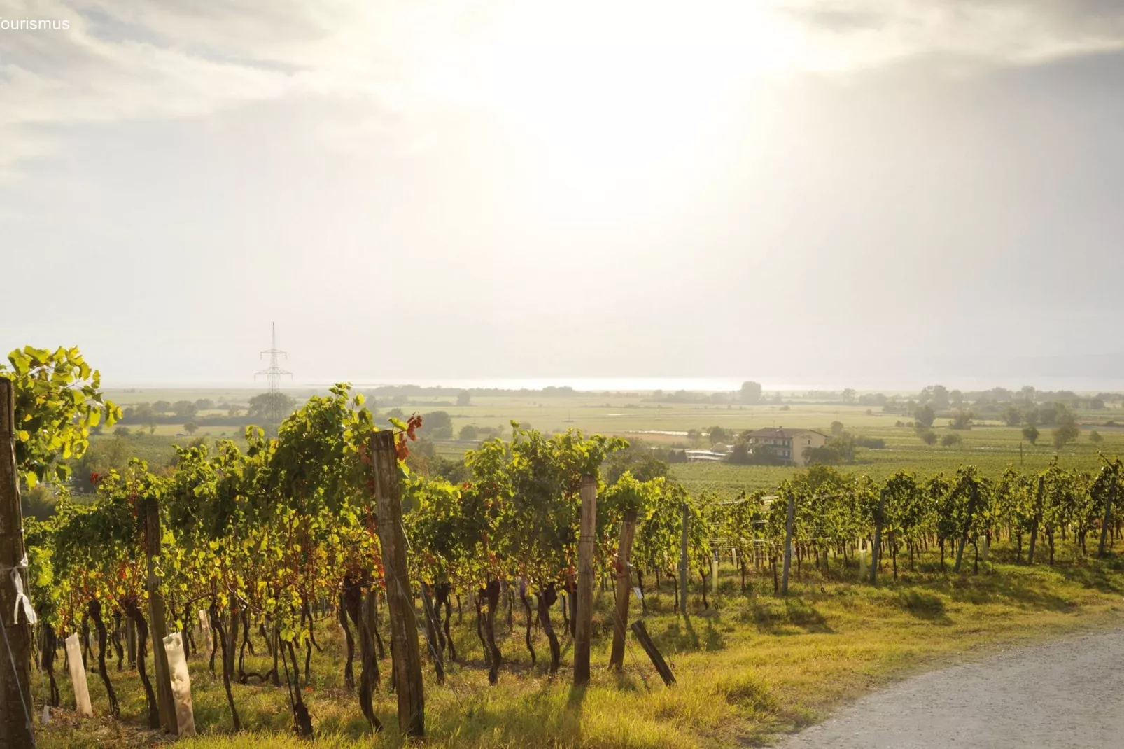 Pannonia M03-Areas summer 5km