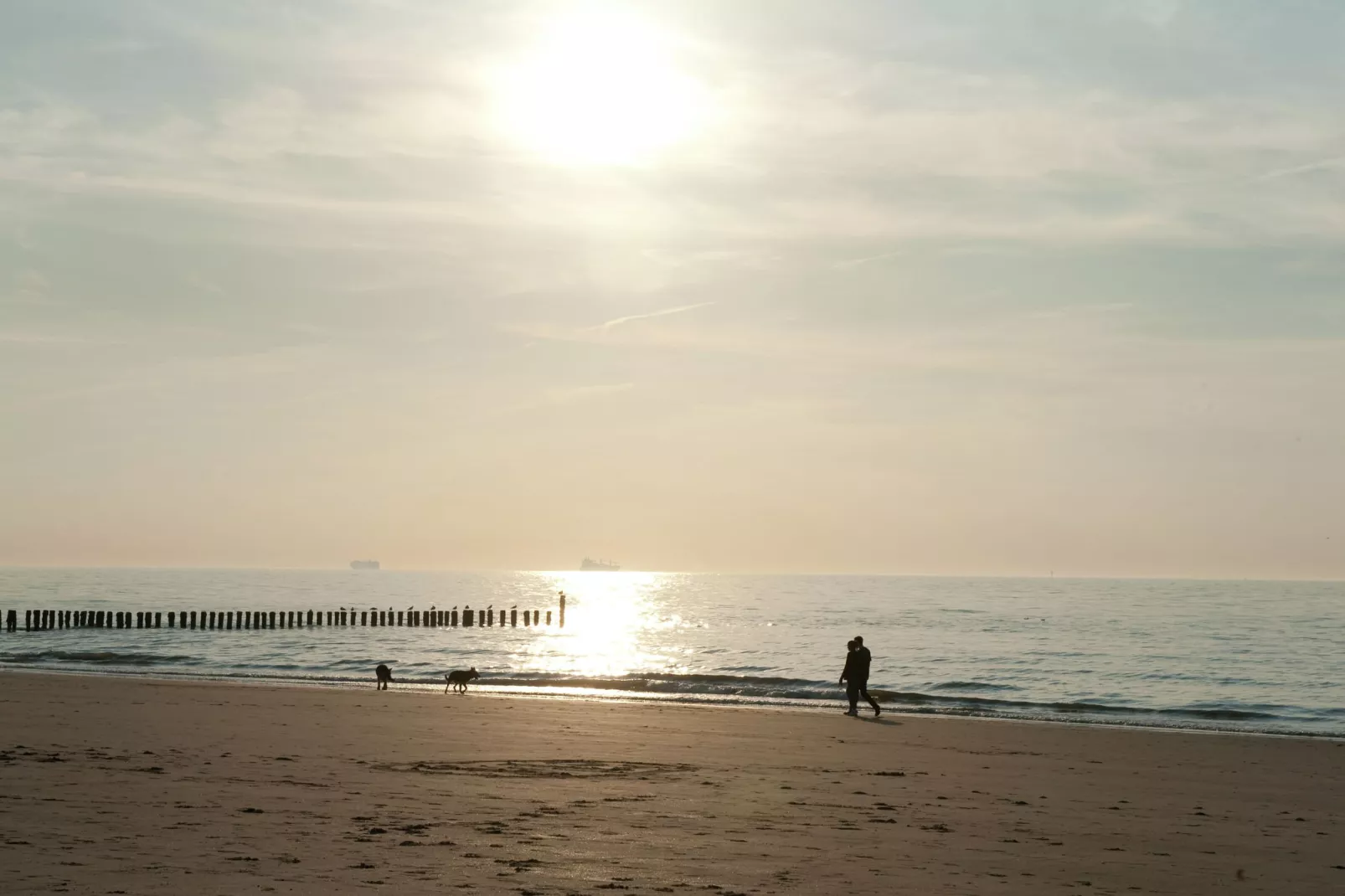 Noordzee Residence Cadzand-Bad 23-Areas summer 1km
