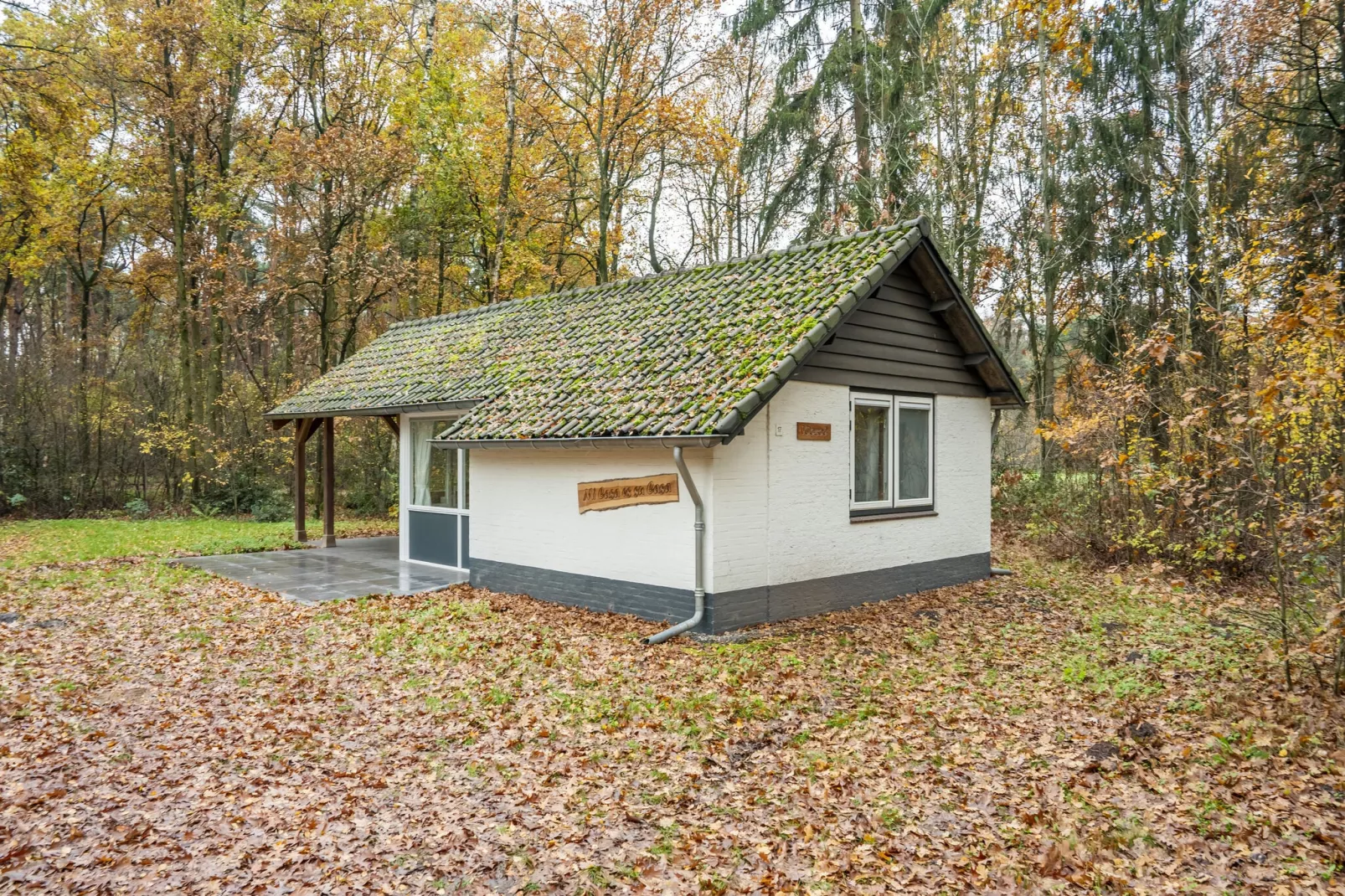 Vosseven 17 Wezel-Exterior summer