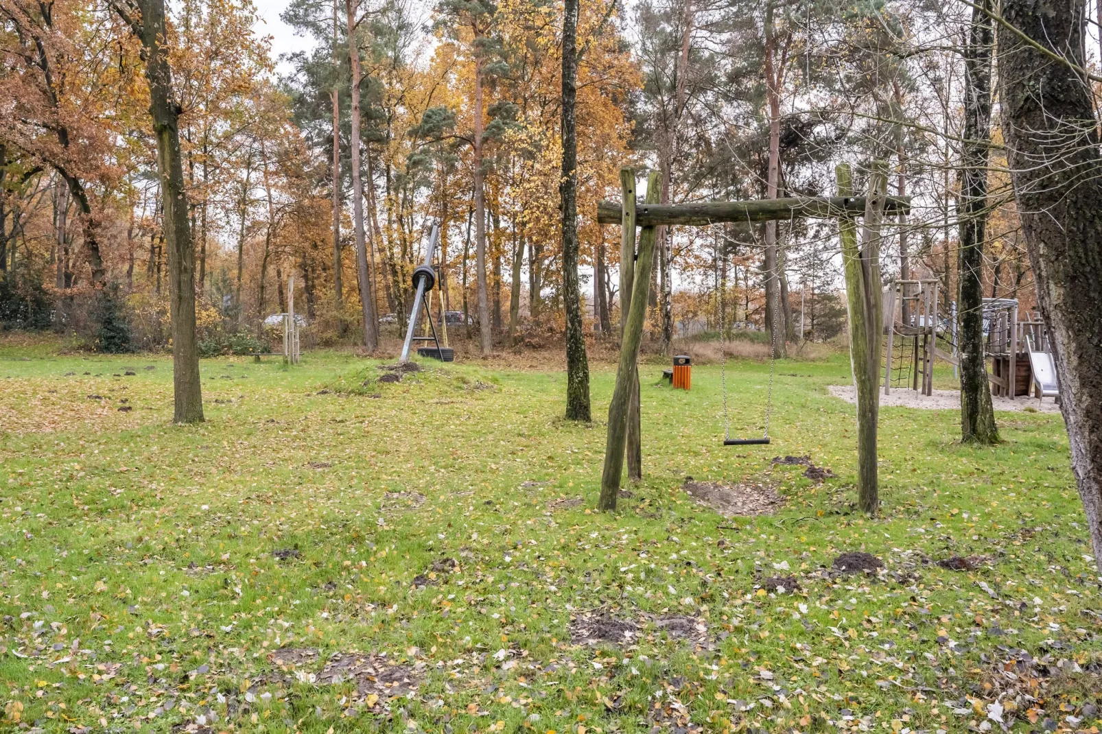 Vosseven 17 Wezel-Areas summer 5km