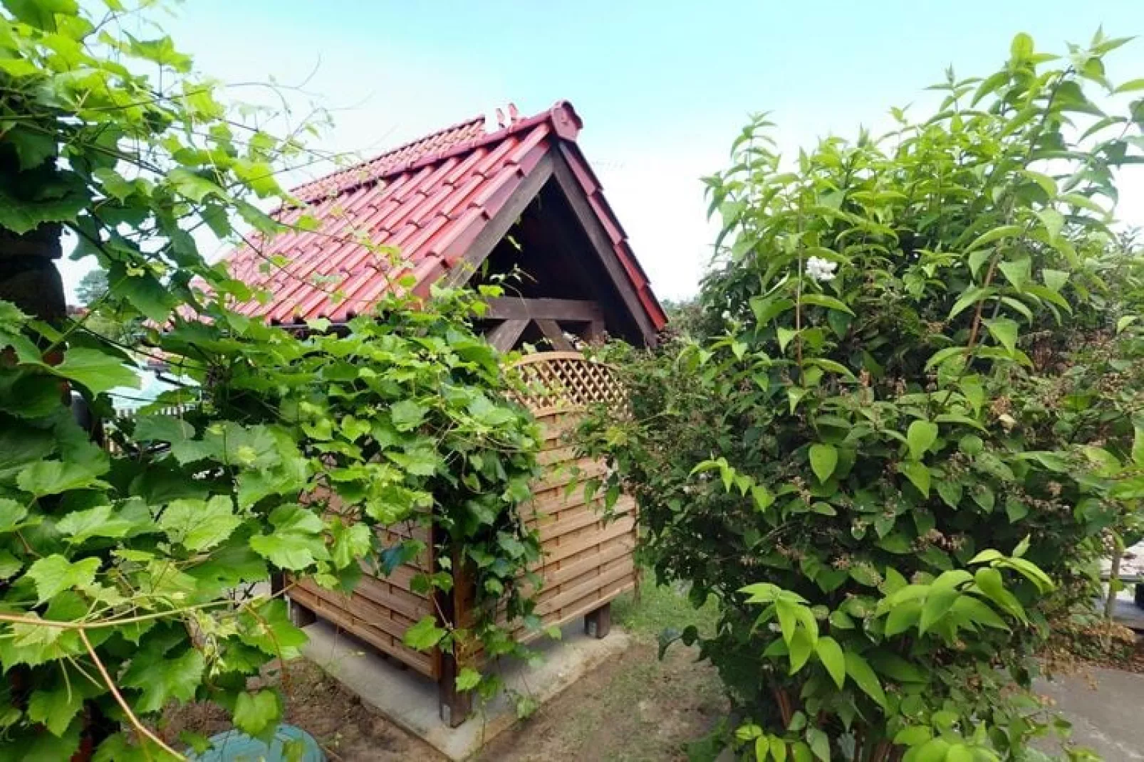 Holiday home Kolczewo-53 qm Nr 3-Exterior summer