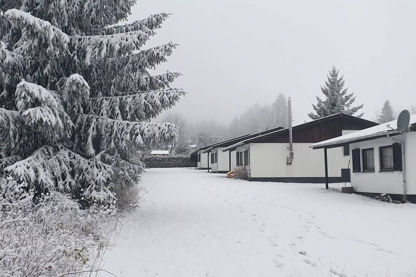 Brouwer Ferienhaus-Garden winter
