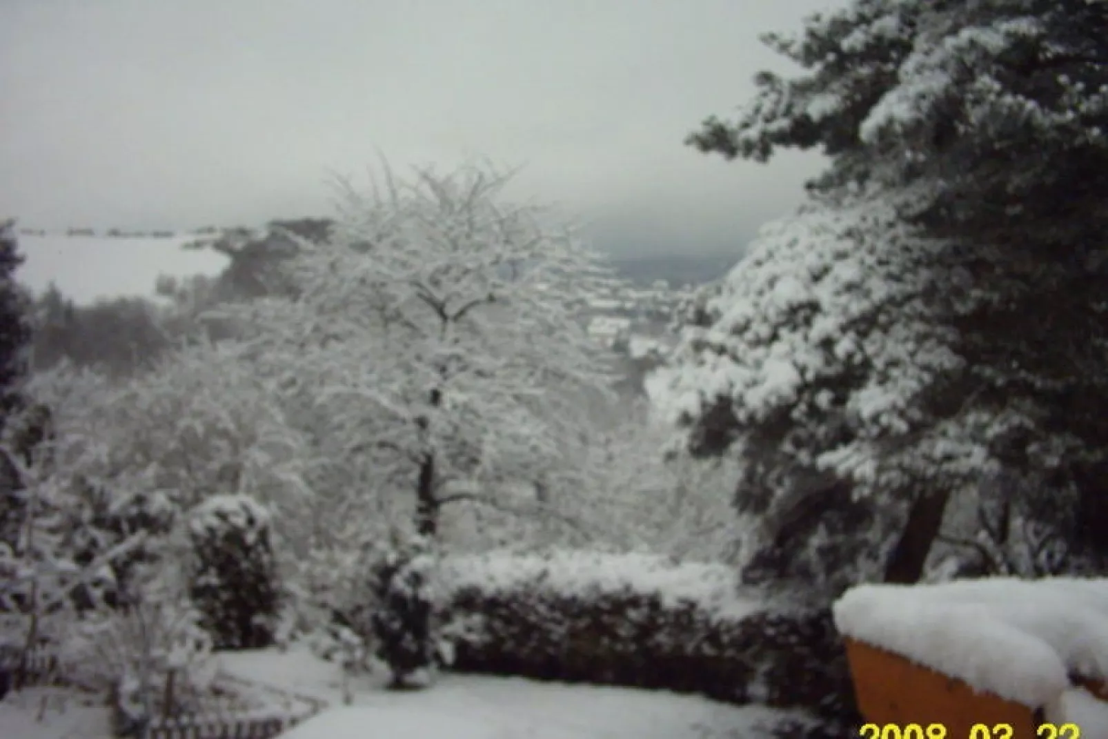 Dachstube-Garden winter