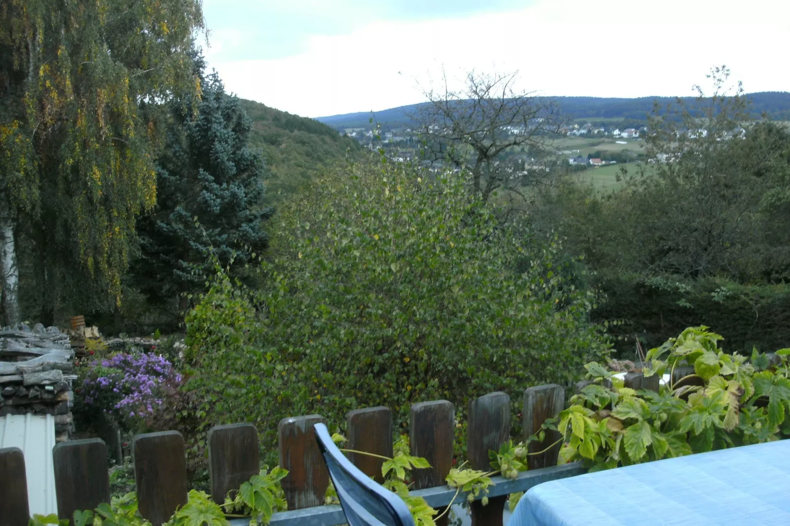 Dachstube-View summer