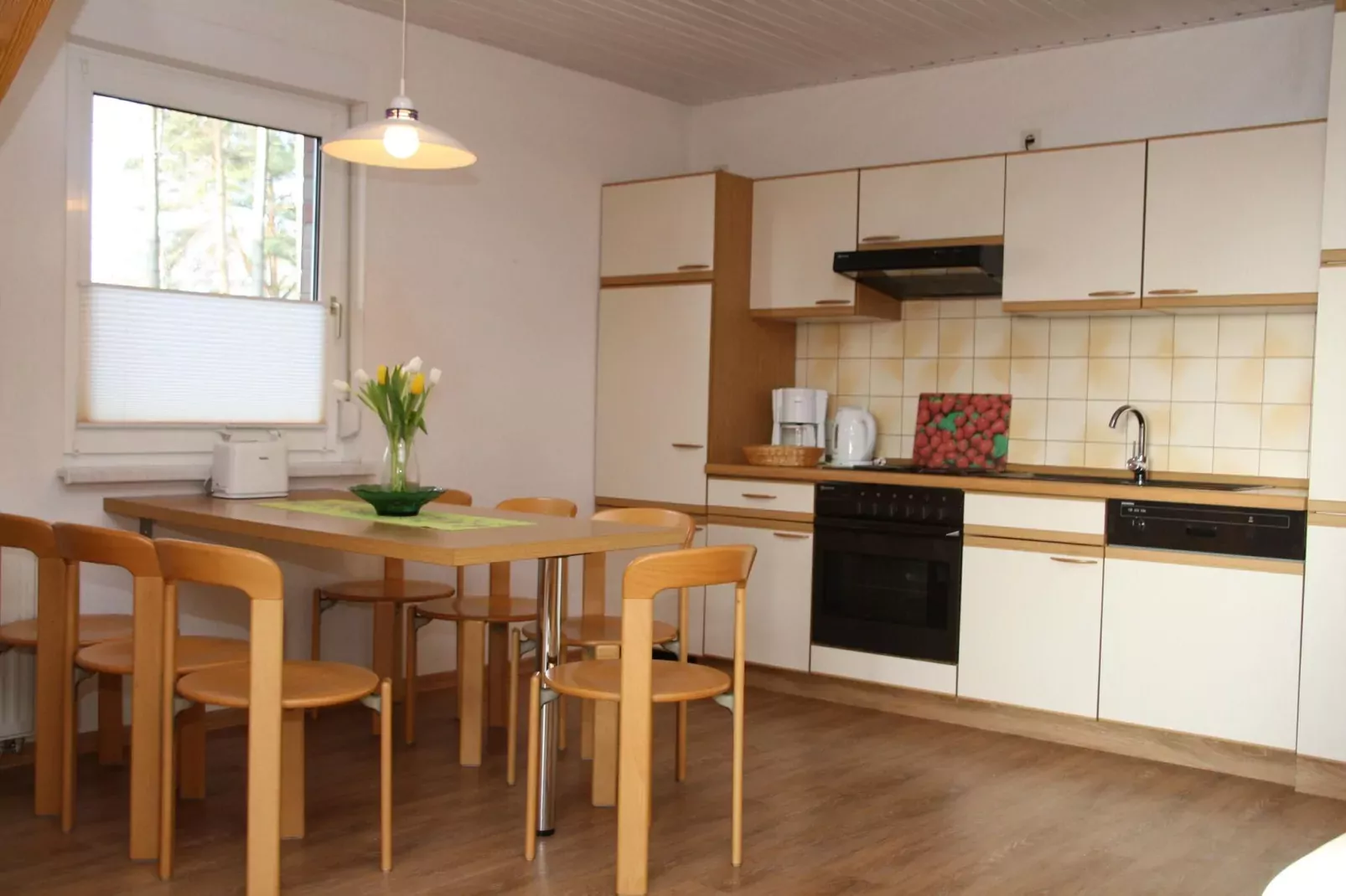 Ferienhaus in Plau am See-Kitchen
