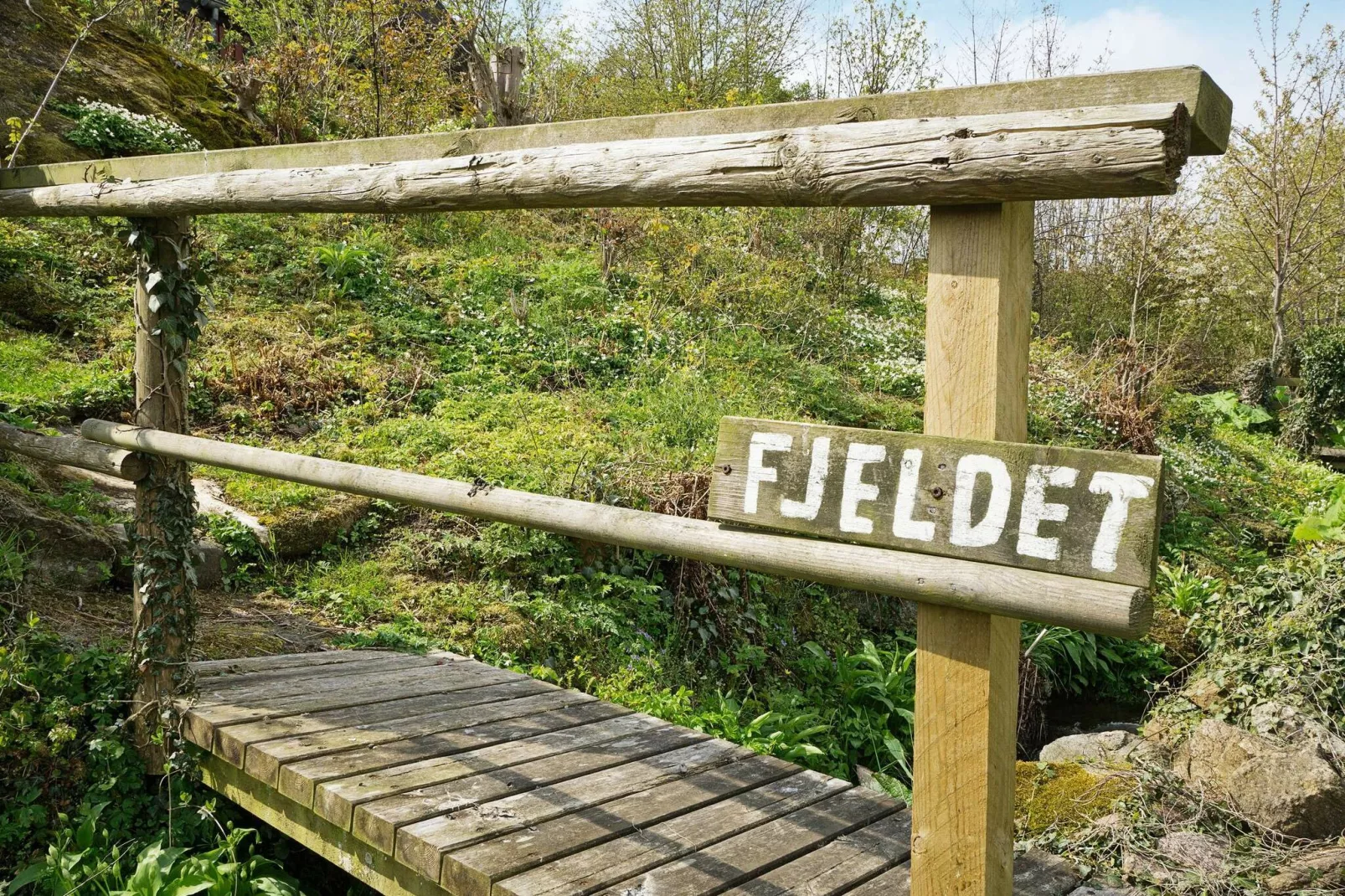 FJELDET-View