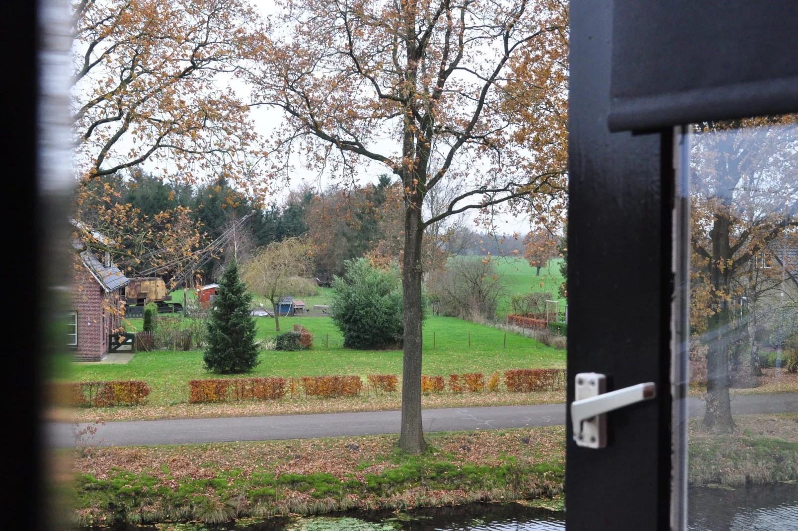 Loods 57B - View in summer