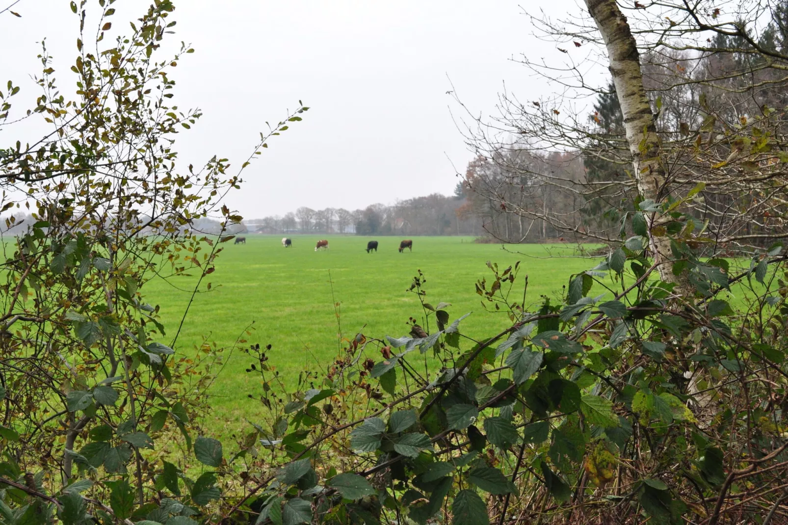 Loods 57B - Areas within 1km in summer