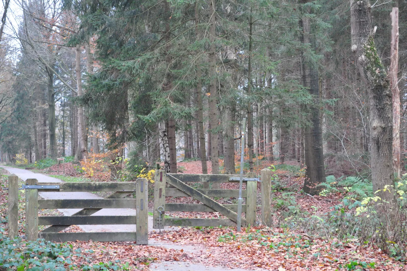 Loods 57B - Areas within 1km in summer