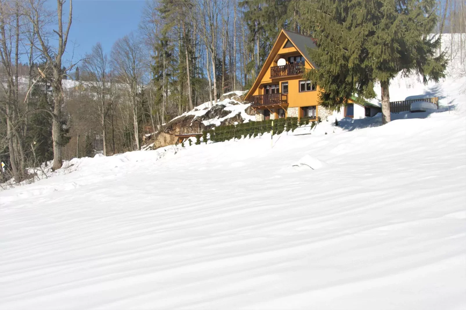 Petr-Exterior winter