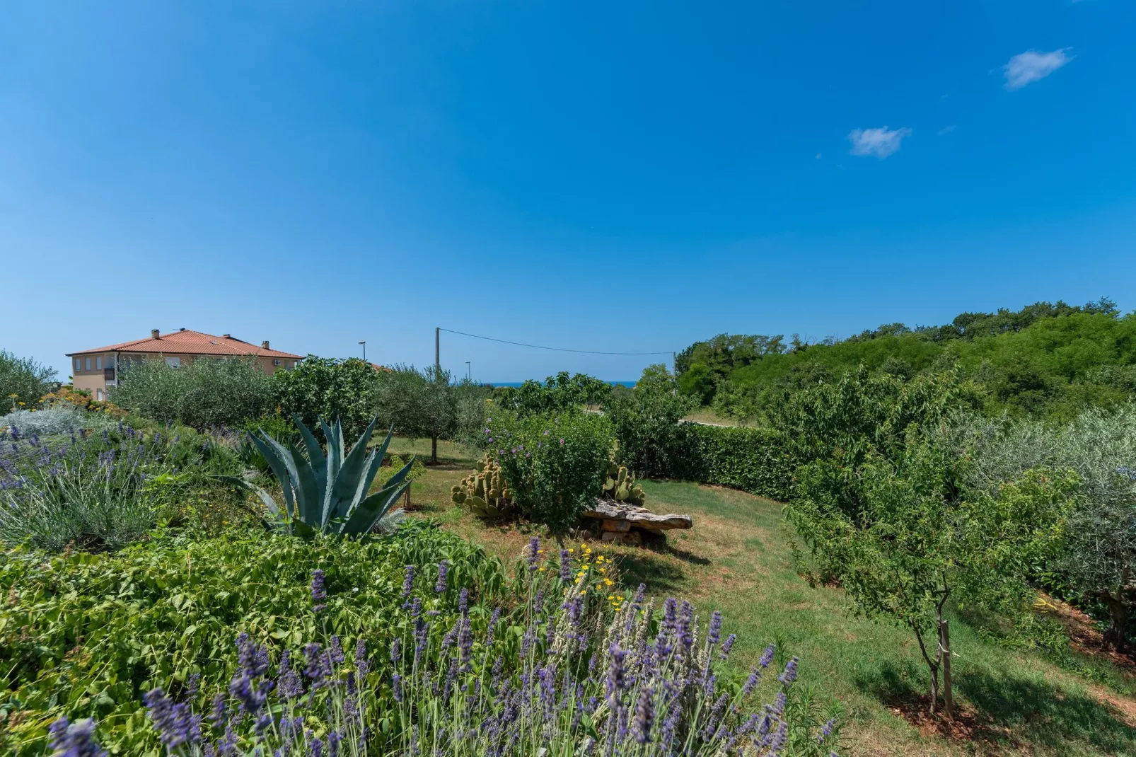 Villa Leandra-Gardens summer