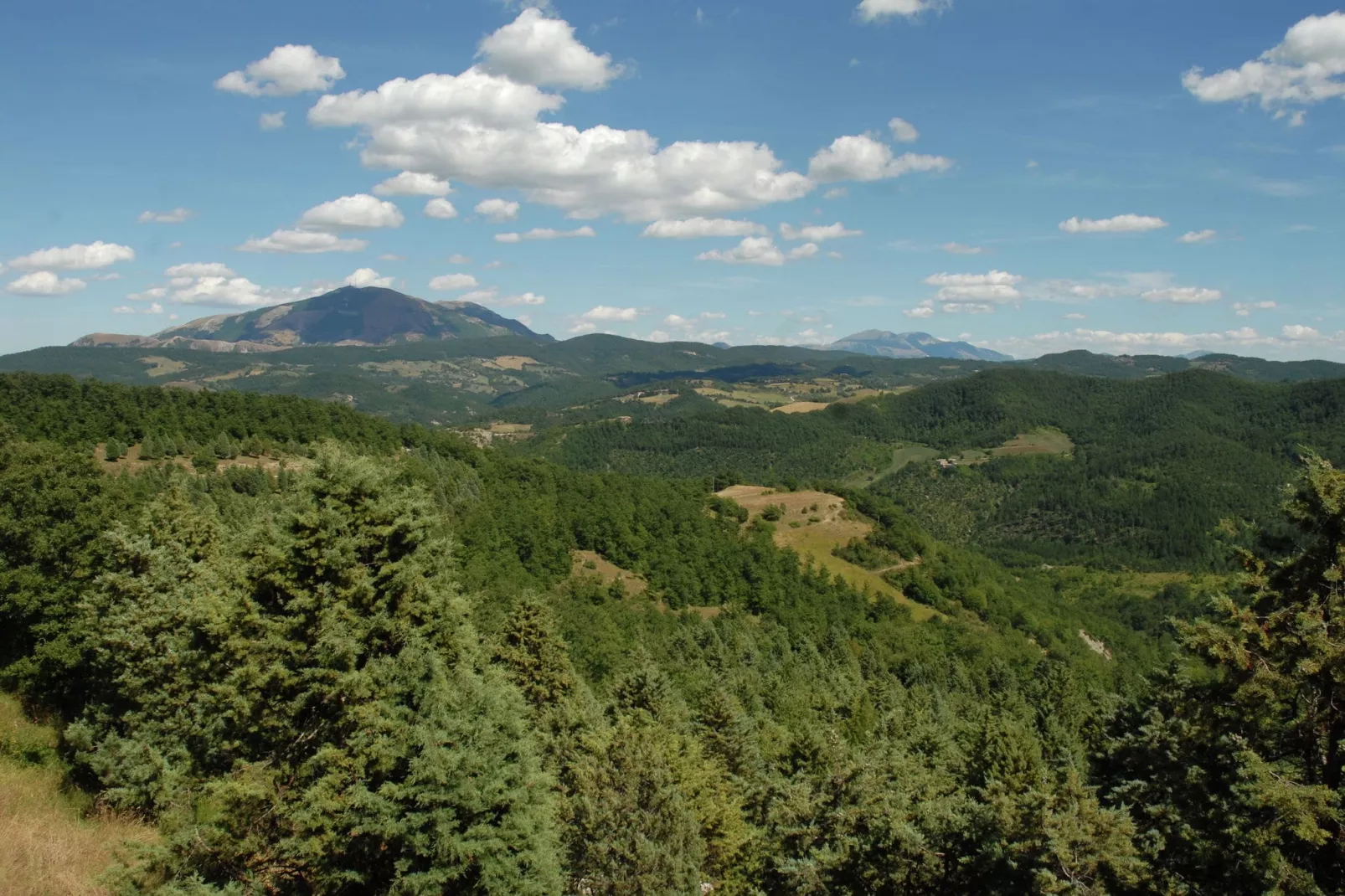 Casal Corniolo- Montalto-View summer