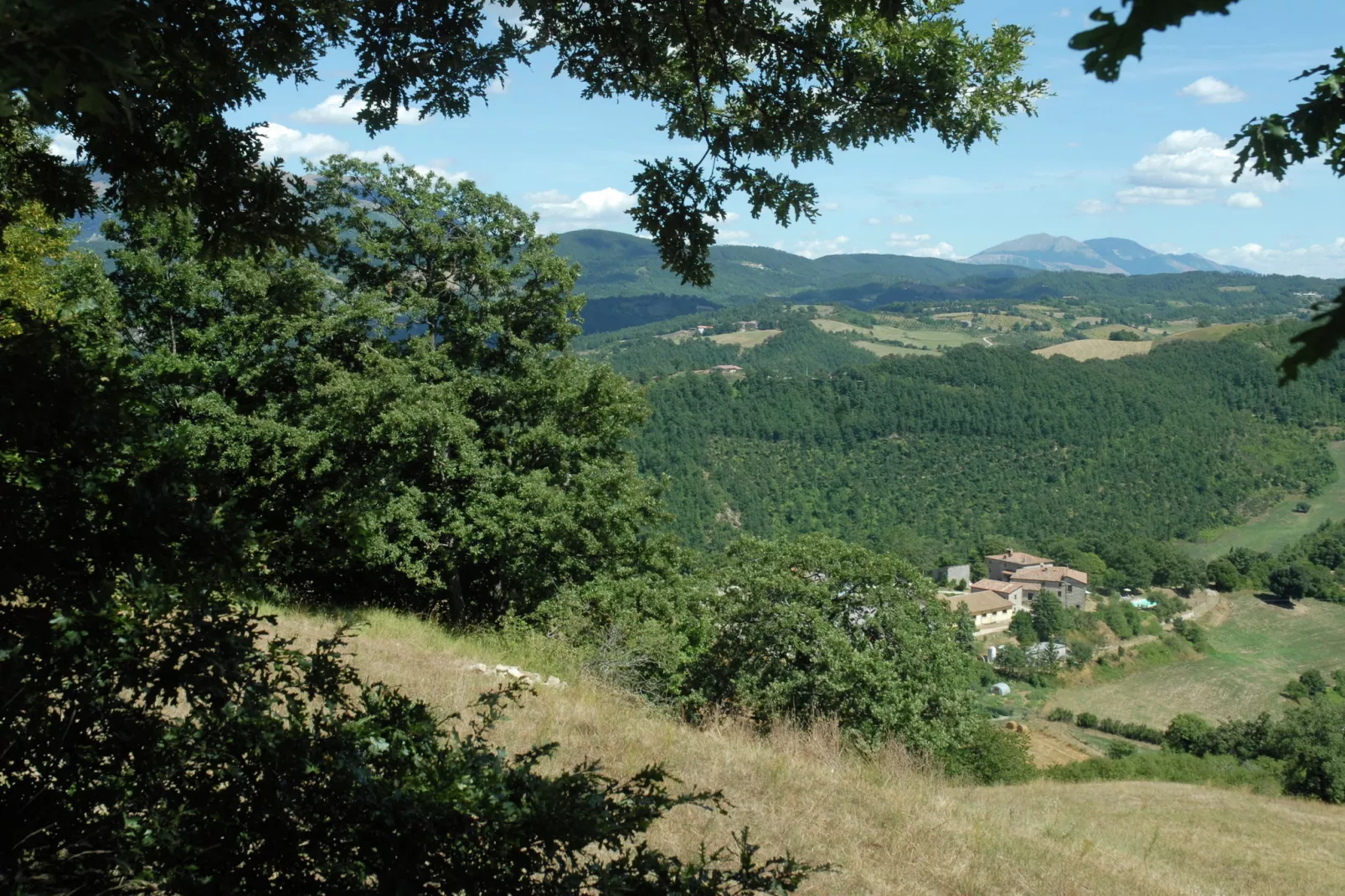 Casal Corniolo- Montalto-View summer