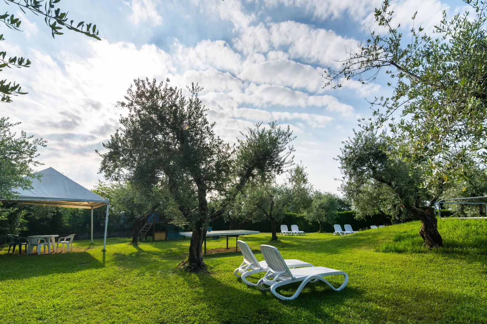 Salici-Pool