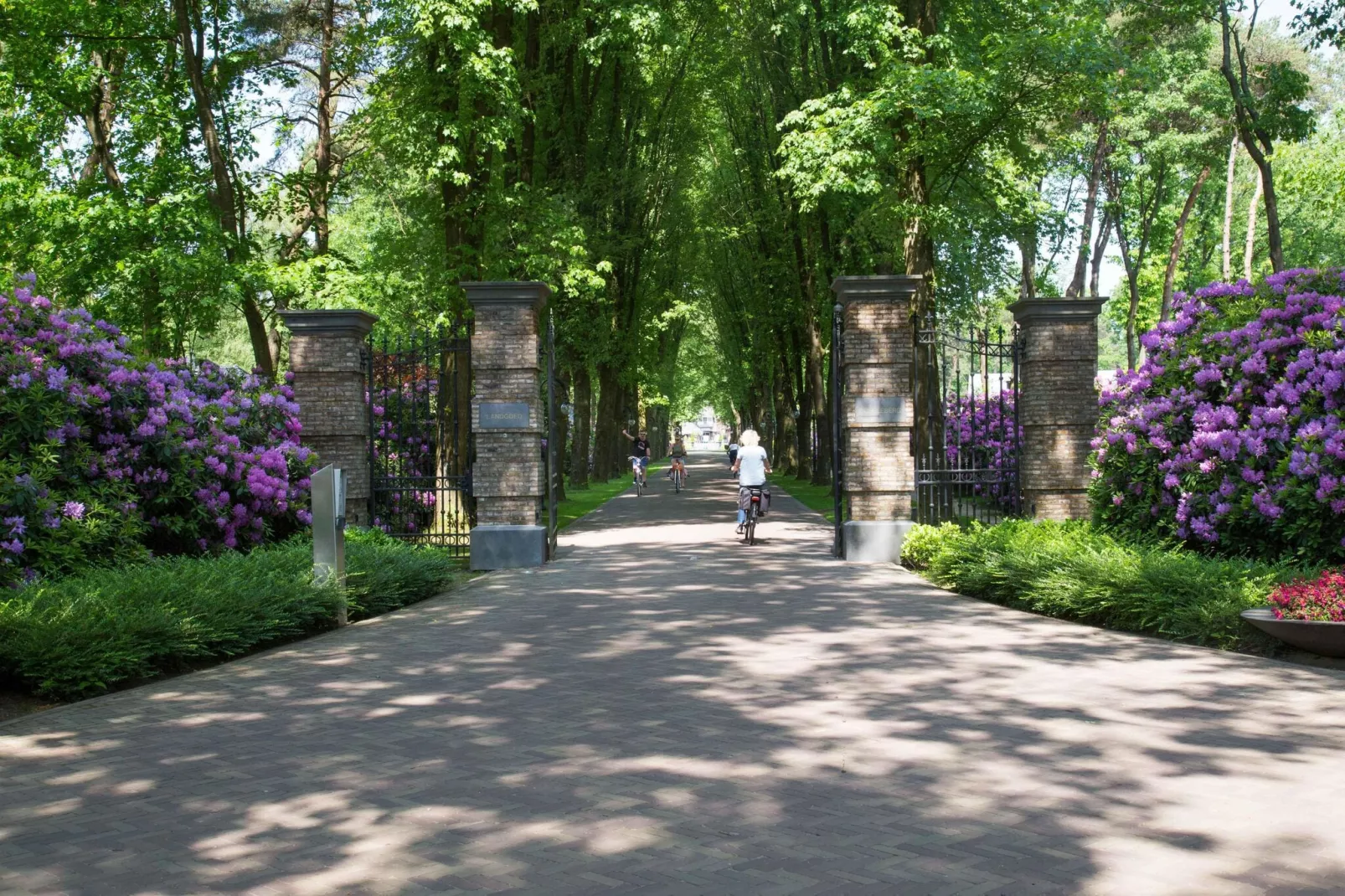 Landgoed De Scheleberg 28-Gebiete Sommer 1 km