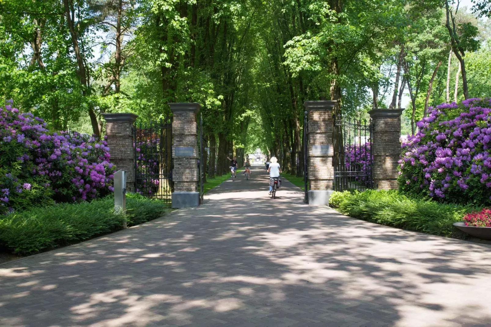 Landgoed De Scheleberg 29-Gebiete Sommer 1 km