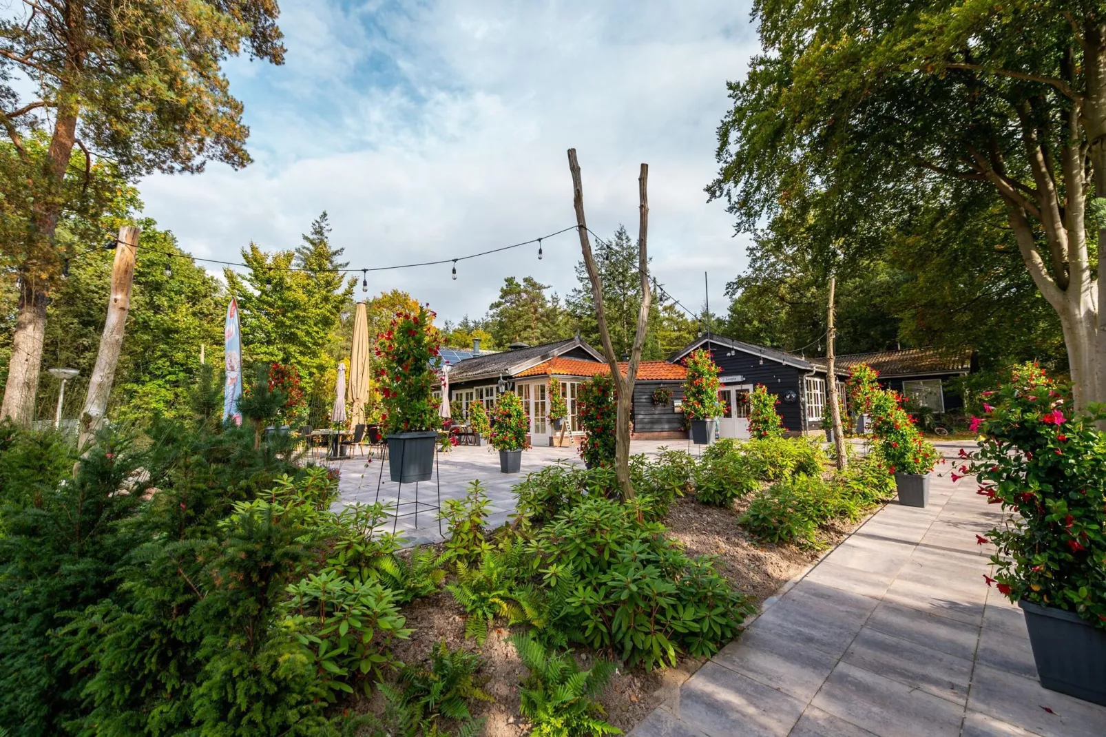 Resort De Wiltzangh 5-Park facilities
