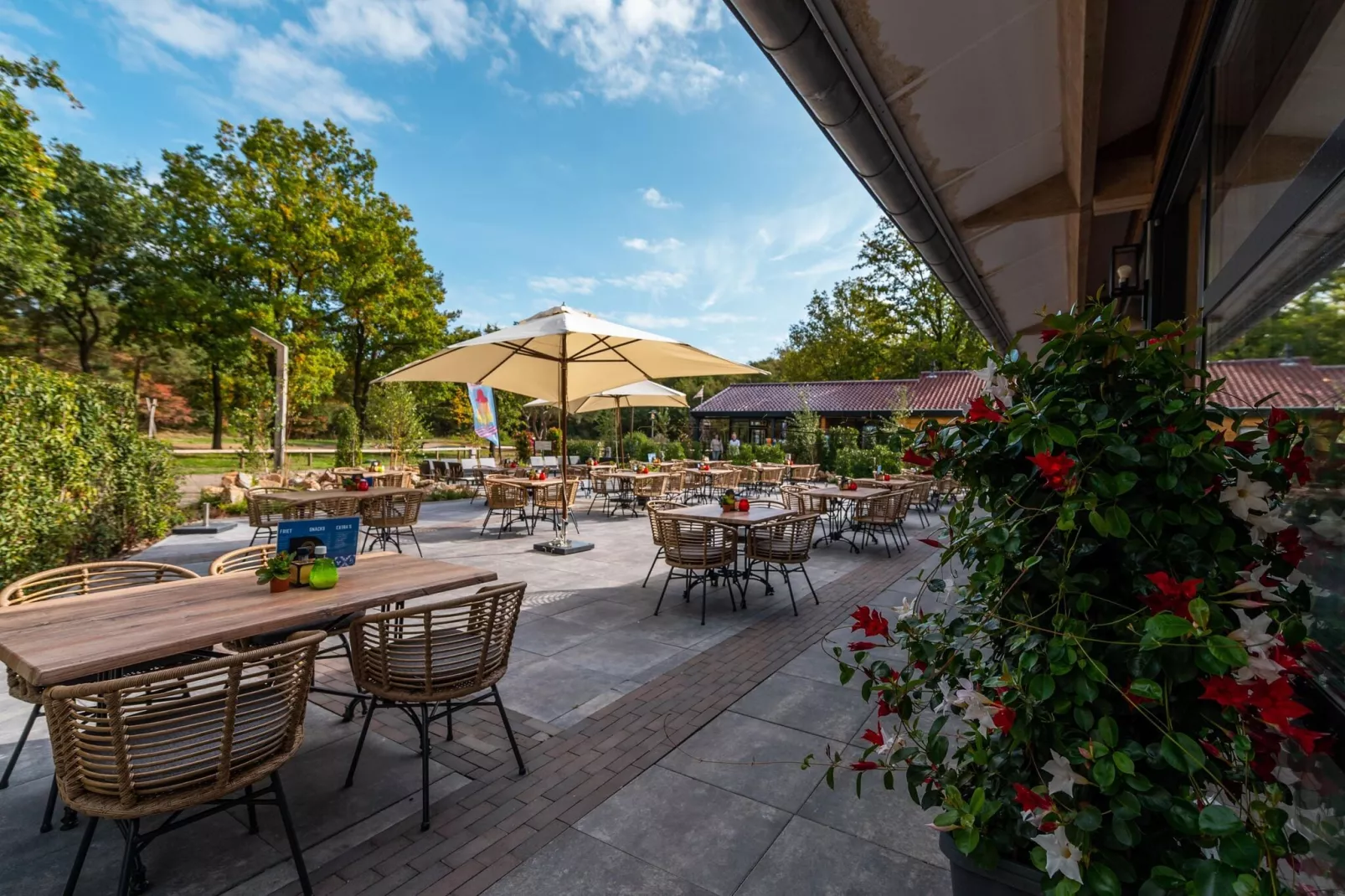 Resort Ruinen 4-Park facilities