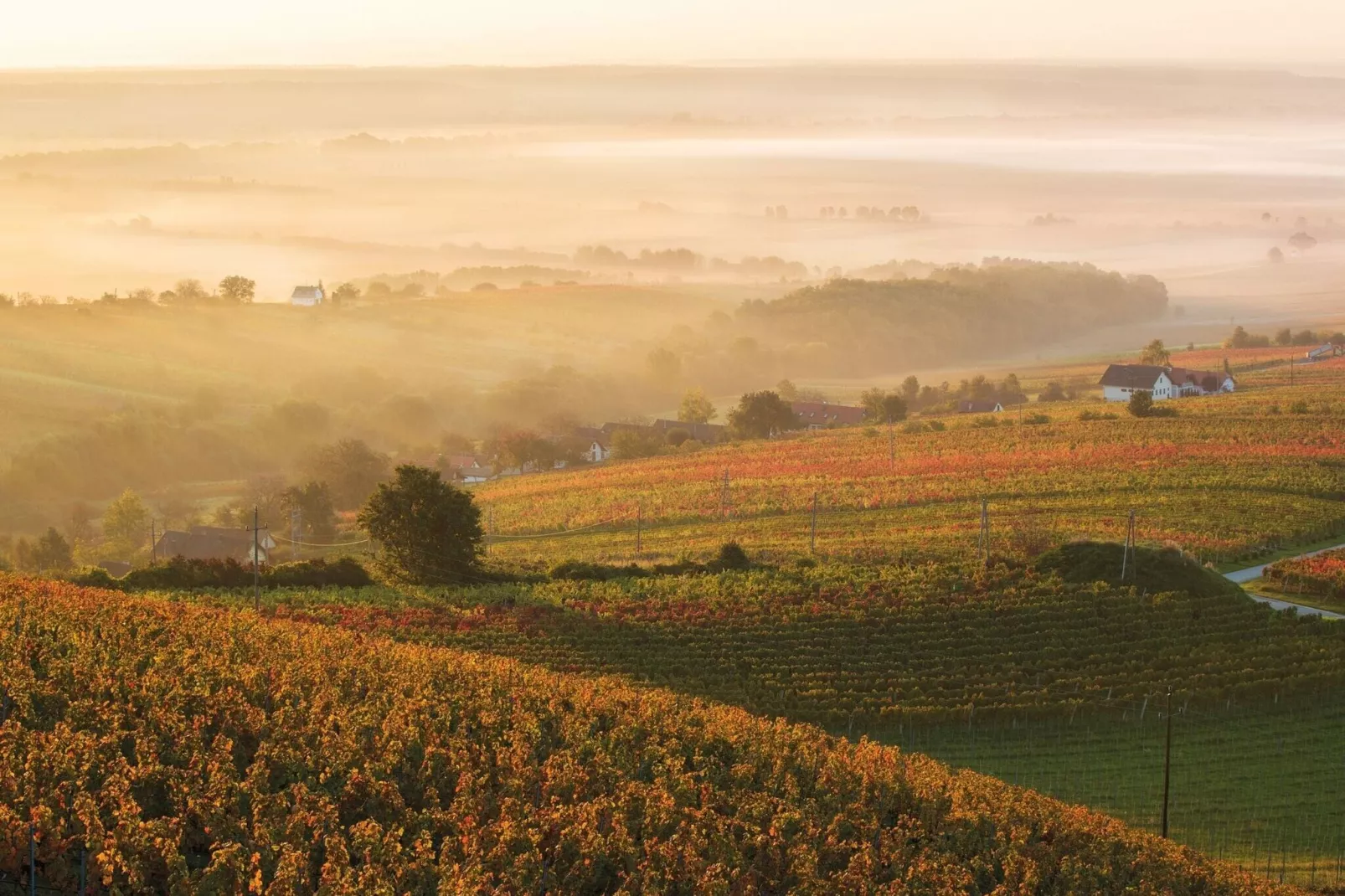Pannonia Golfresort-Zones d'été à 20 km